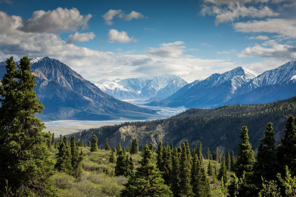 Vallata con montagne innevate all'orizzonte e foresta di conifere in primo piano