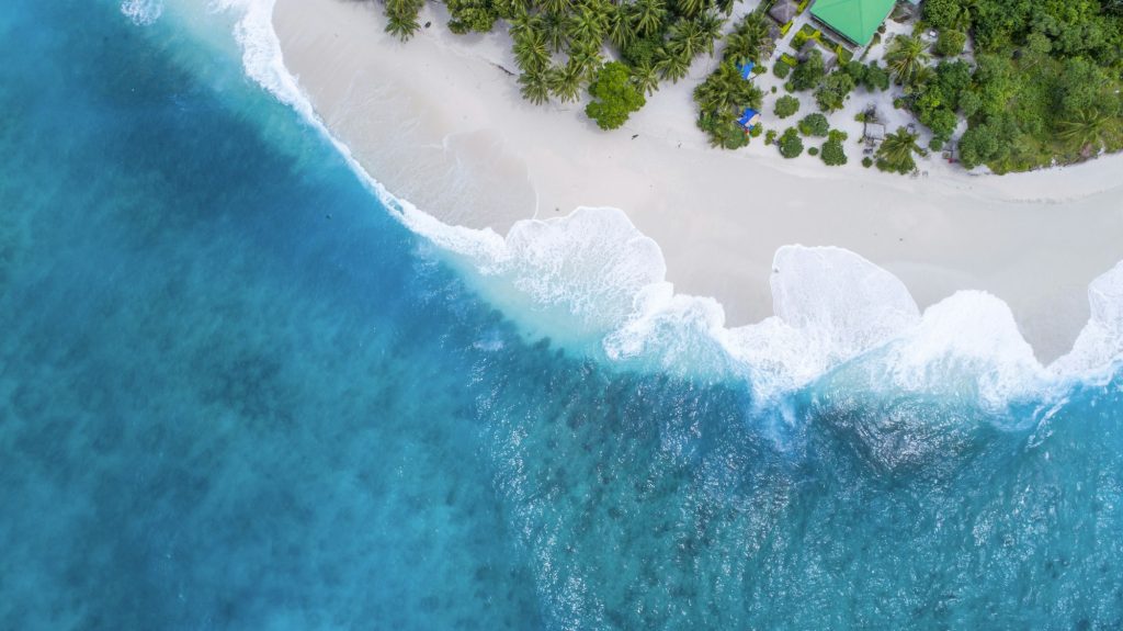 Spiaggia tropicale con palme e mare cristallino per un viaggio su misura